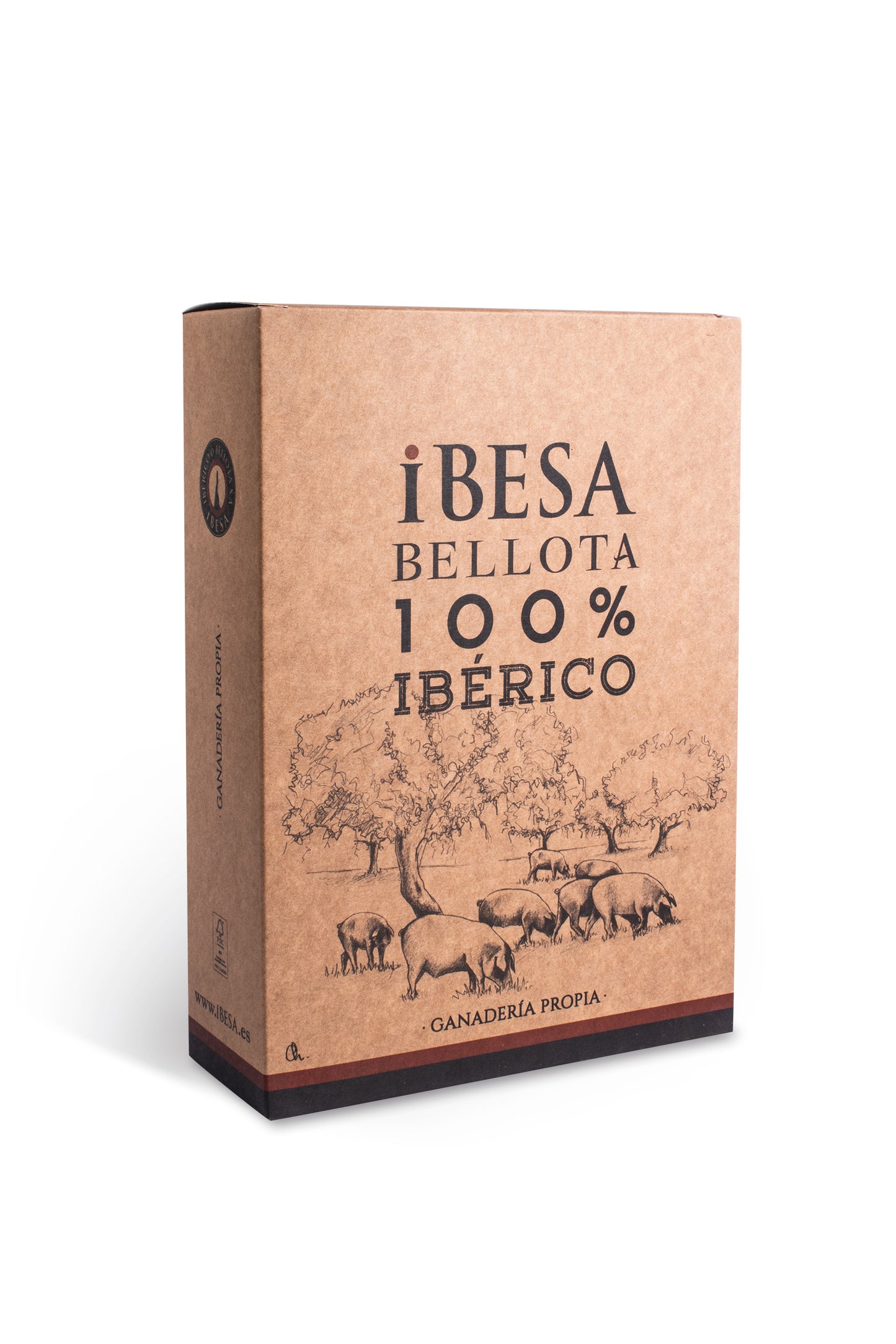 PALETA BELLOTA 100% IBÉRICA DOP LOS PEDROCHES 4,5-5 Kg