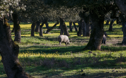 Visita Bodega Natural